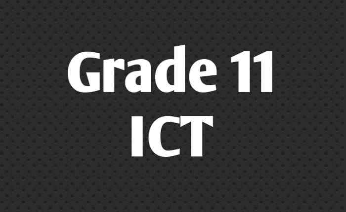 Grade 11