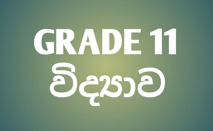 Grade 11 විද්‍යාව
